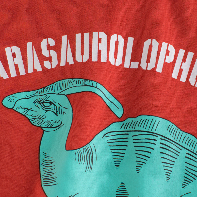 Kids Boys Casual Cartoon Dinosaur Letter Pattern Round Neck Short Sleeve Loose T-shirt