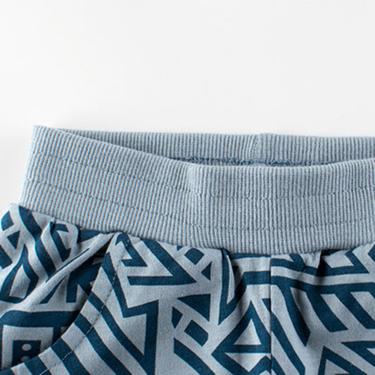 Kids Boys Basic Geometric Pattern All Over Print Elastic Casual Shorts